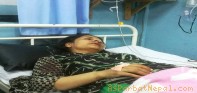 सबारी दुर्घटनामा कुश्माकी उपमेयर लामिछाने घाईते